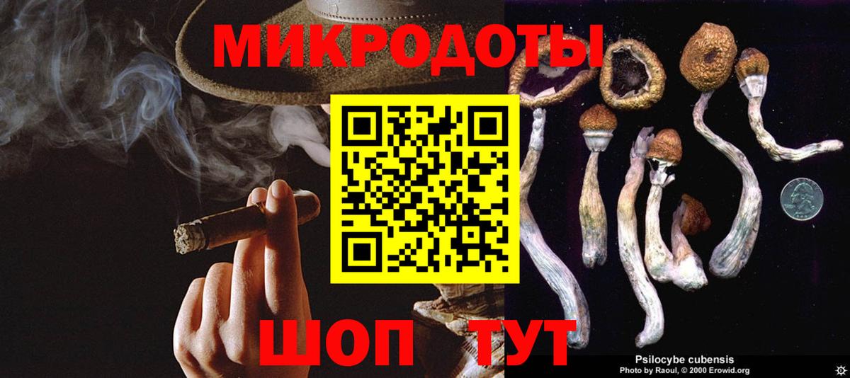 Осинники  Галлюциногенные грибы Cubensis  Вход с VPN 