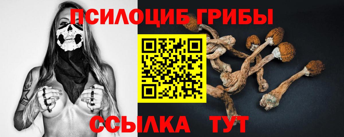 Псилоцибиновые грибы Magic Shrooms Осинники