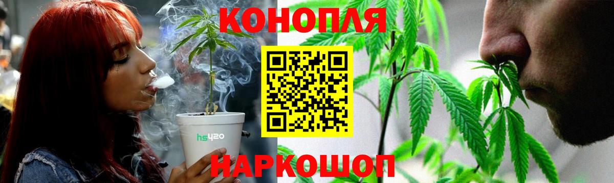 Бошки Шишки индика  Бошки Шишки тримм  Вход с VPN  Конопля планчик  МАРИХУАНА Amnesia  Осинники 